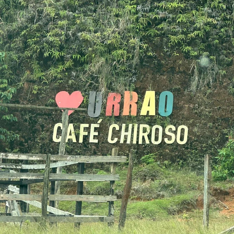 TROPICAL CHIROSO