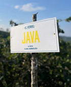 JAVA BLOSSOM