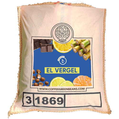 EL VERGEL