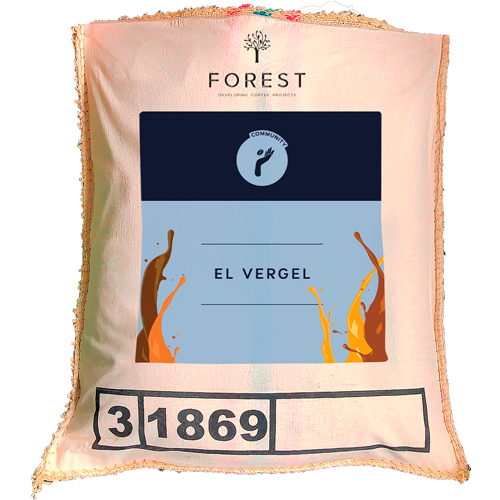 EL VERGEL
