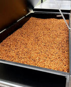 TYPICA NOGALES LOW CAF