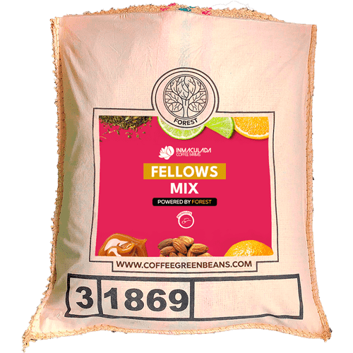 FELLOWS MIX