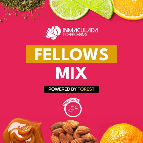 FELLOWS MIX