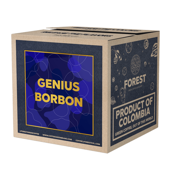 BORBON GENIUS - Forest Coffee 