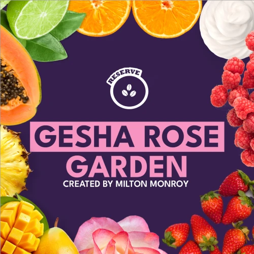 GESHA ROSE GARDEN