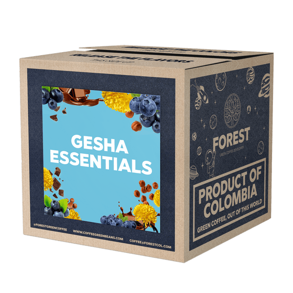 GESHA ESSENTIALS - Forest Coffee 