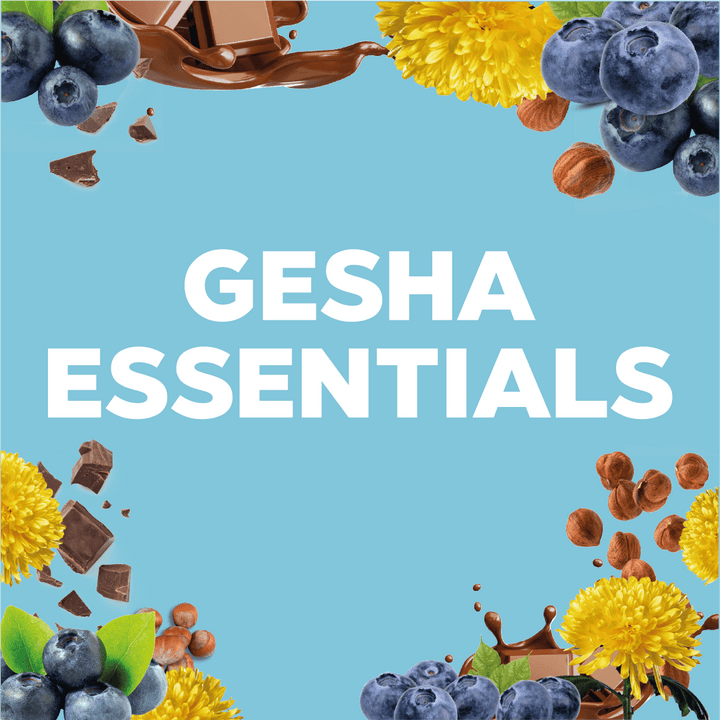 GESHA ESSENTIALS - Forest Coffee 