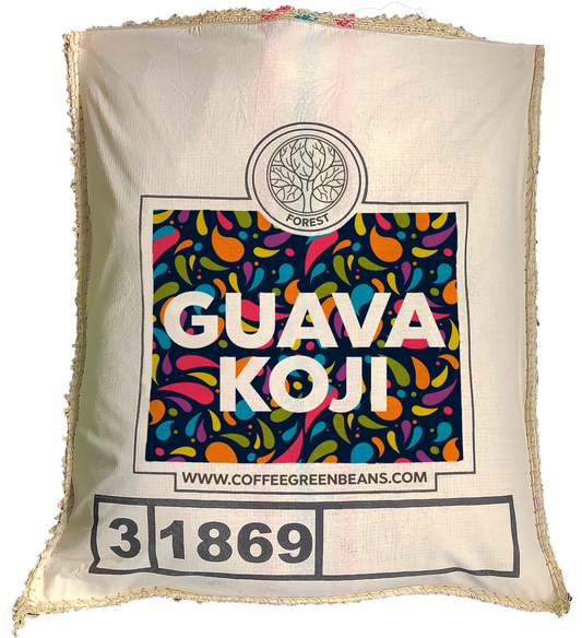 GUAVA KOJI - Forest Coffee 
