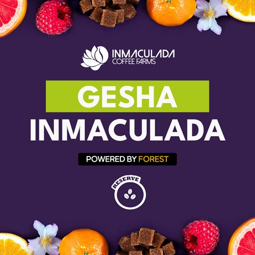 GESHA INMACULADA