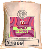 GESHA CLOUDS