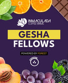 GESHA FELLOWS