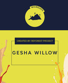 GESHA WILLOW