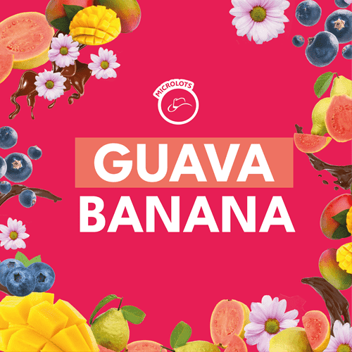 GUAVA BANANA