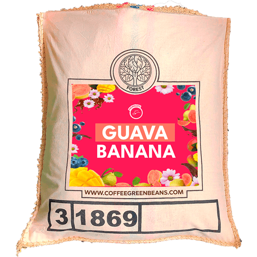 GUAVA BANANA