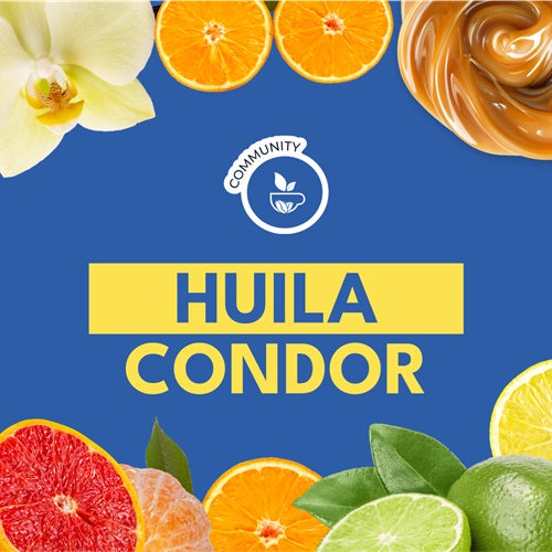 HUILA CONDOR