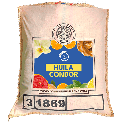 HUILA CONDOR