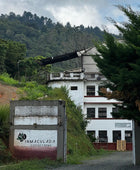 PAPAYO INMACULADA