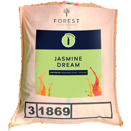 JASMINE DREAM - Forest Coffee