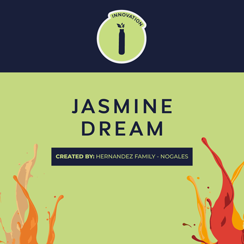 JASMINE DREAM