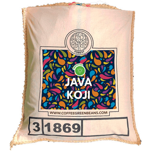 JAVA KOJI