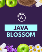 JAVA BLOSSOM