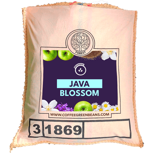 JAVA BLOSSOM