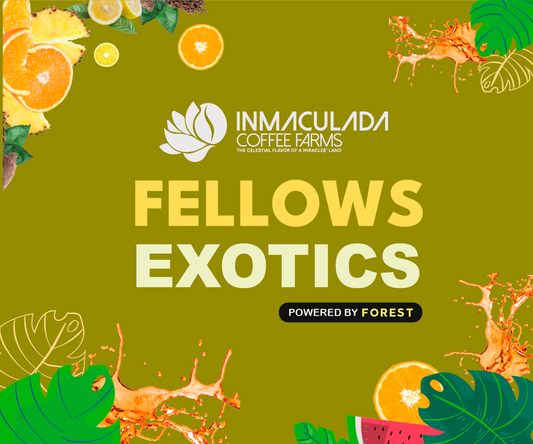 Fellows Exotics