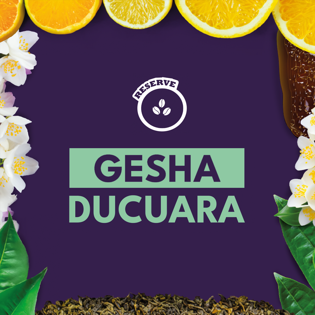 GESHA DUCUARA