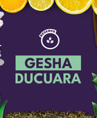 GESHA DUCUARA