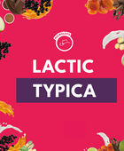 LACTIC TYPICA