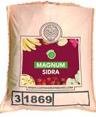 MAGNUM SIDRA