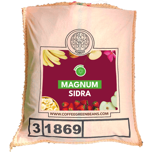 MAGNUM SIDRA