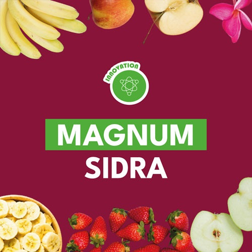 MAGNUM SIDRA