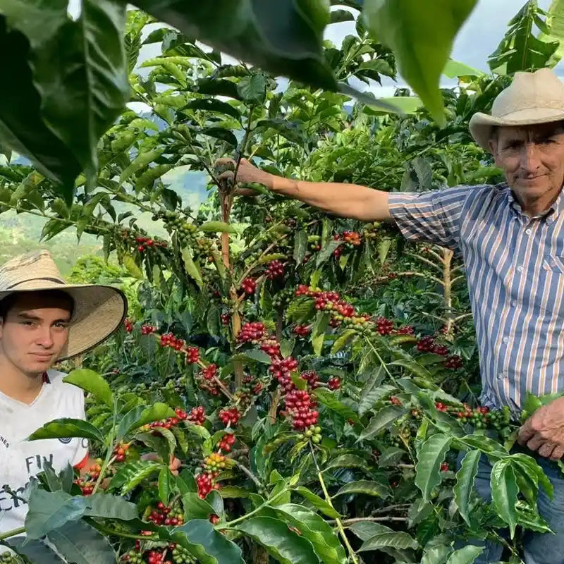 NARIÑO