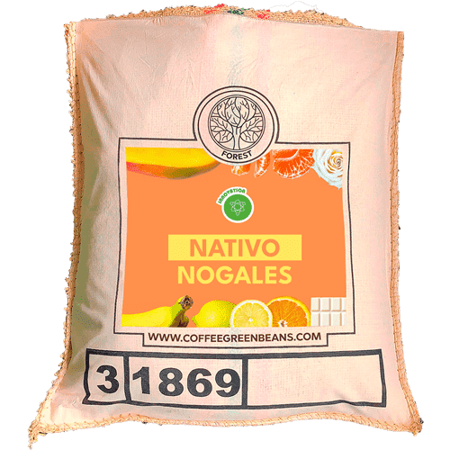 NATIVO NOGALES