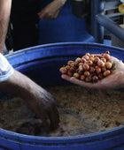 BORBON MARTA RUBI
