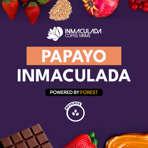 PAPAYO INMACULADA