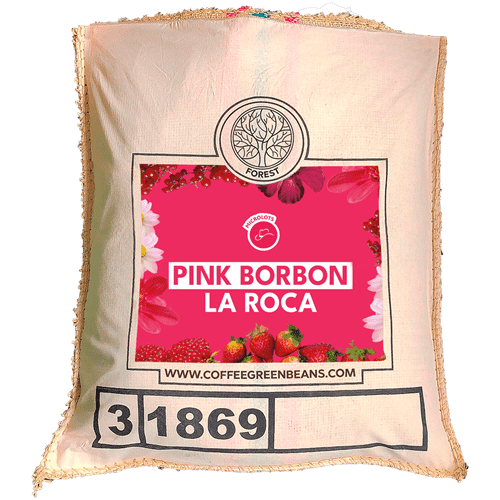 PINK BORBON LA ROCA