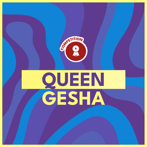 QUEEN GESHA