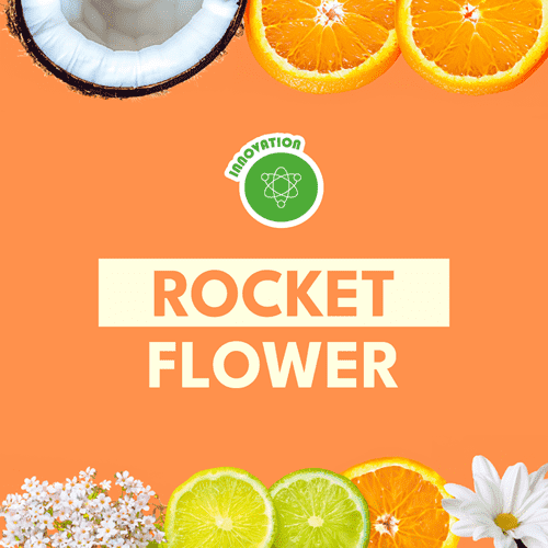 ROCKET FLOWER