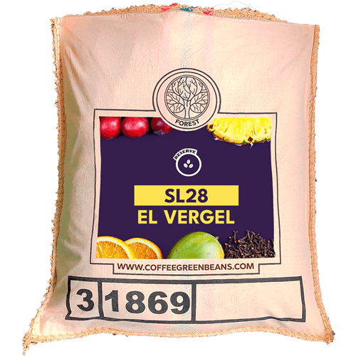 SL28 EL VERGEL