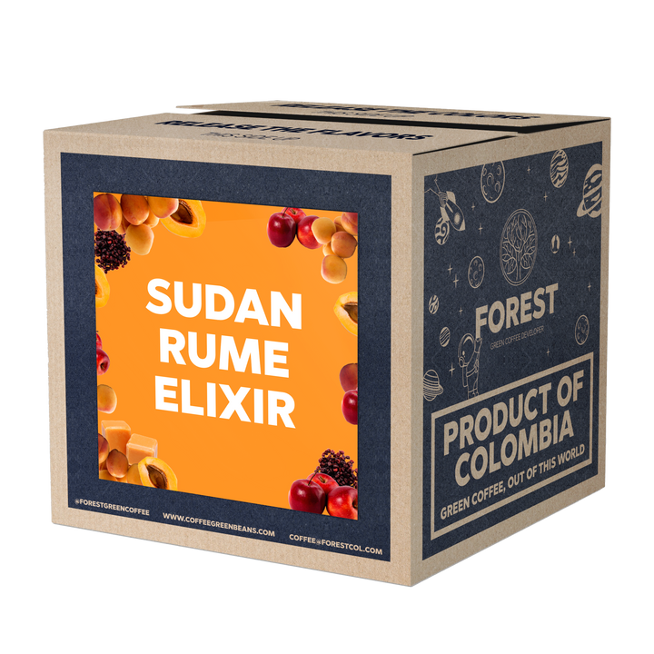 SUDAN RUME - Forest Coffee 