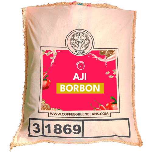 AJI BORBON