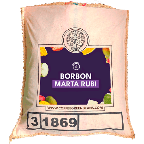 BORBON MARTA RUBI