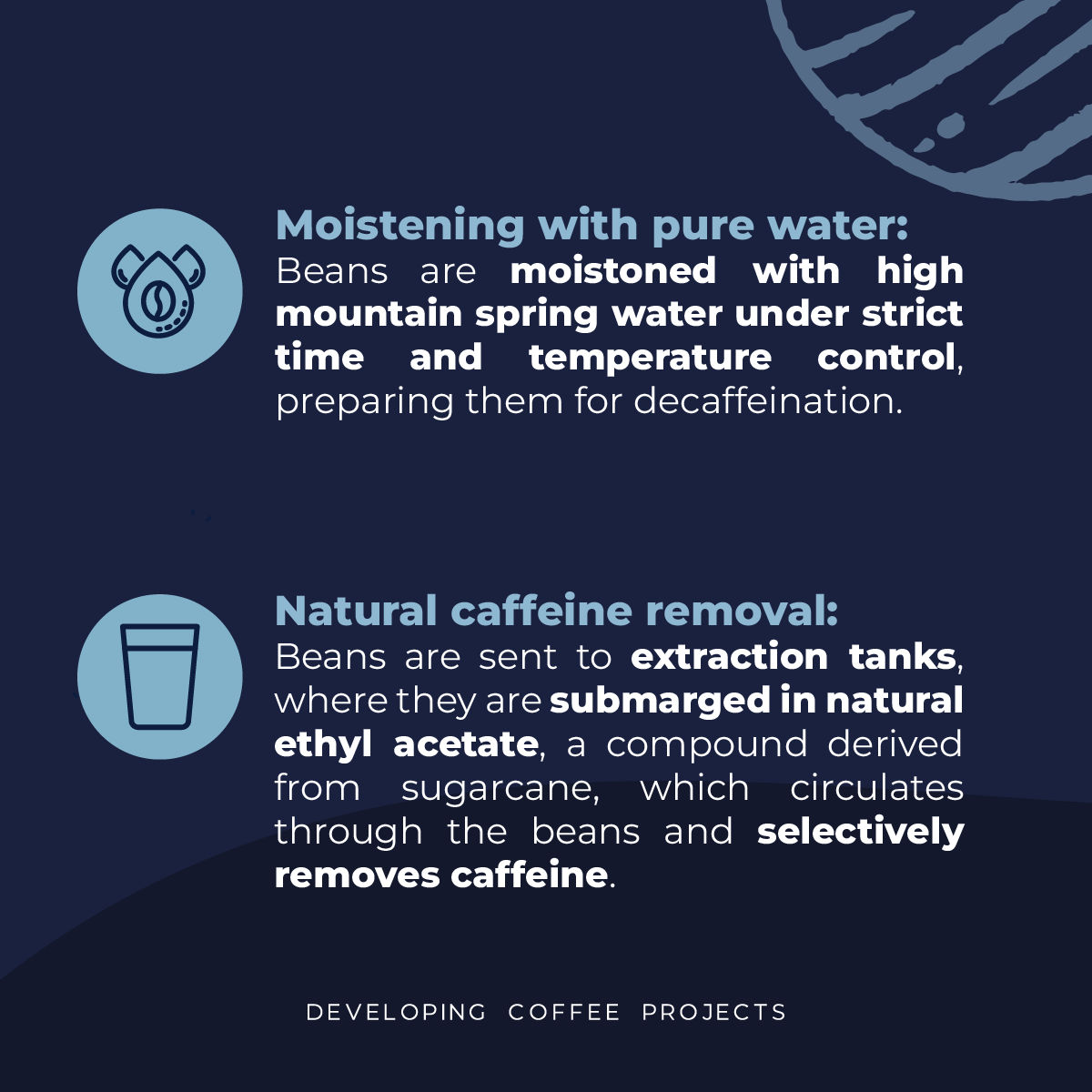 CONDOR DECAF