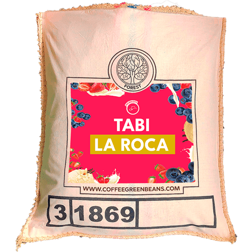 TABI LA ROCA