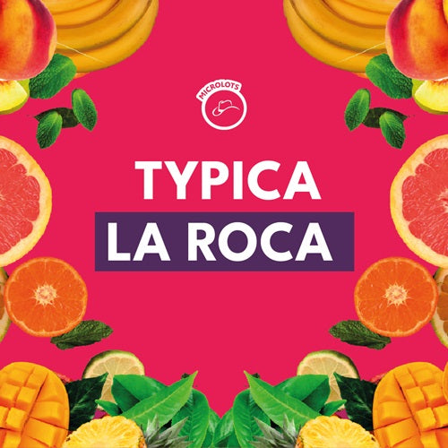 TYPICA LA ROCA