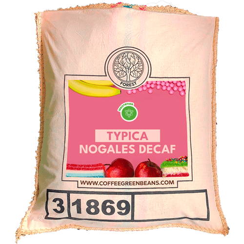 TYPICA NOGALES DECAF - Forest Coffee