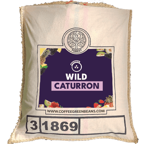 WILD CATURRON