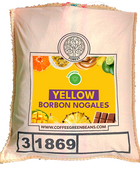 YELLOW BORBON NOGALES